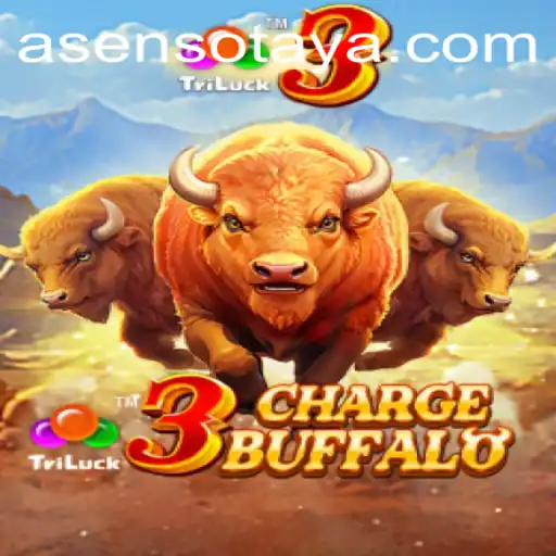 Discovering 3ChargeBuffalo: The Dynamic World of Asenso